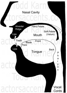 Vocal Structure